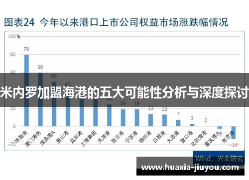 米内罗加盟海港的五大可能性分析与深度探讨